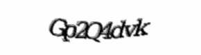 Security check image, please type the characters shown